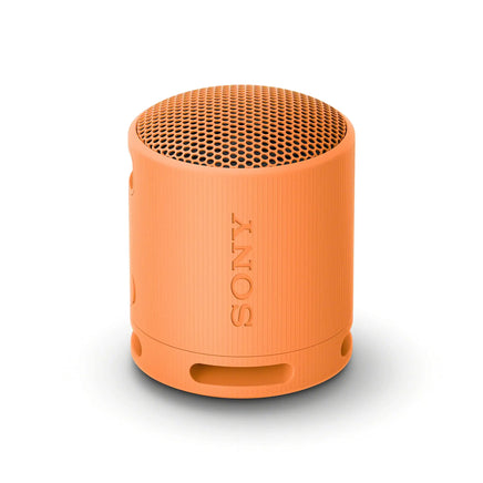 Sony SRS-XB100 Wireless Bluetooth Portable Lightweight Super-Compact