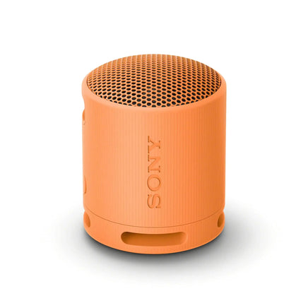 Sony SRS-XB100 Wireless Bluetooth Portable Lightweight Super-Compact