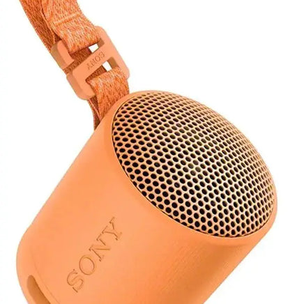 Sony SRS-XB100 Wireless Bluetooth Portable Lightweight Super-Compact RappieL Store